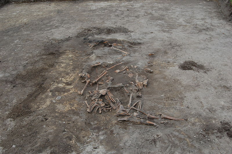 Wola Ostrowiecka, exhumation in the place of former school (2011) by Polish anthropologist Dr Leon Popek. The massacre of Polish inhabitants of Wola Ostrowiecka was committed in 1943 in the Wołyń Voivodeship of the Second Polish Republic.). Source: Leon Popek/Wikimedia.
