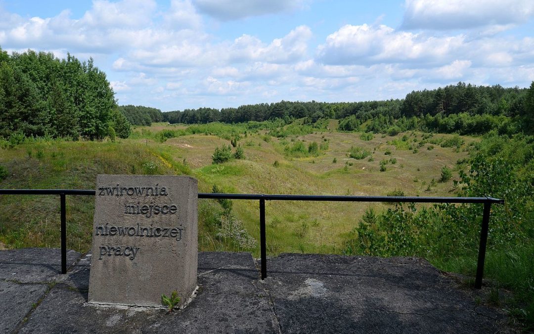 Mass grave discovered under car park at former German Nazi camp Treblinka