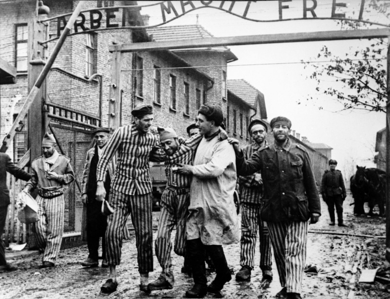 Image result for liberation of auschwitz photos