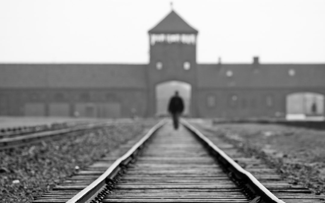 Record 2.3 million people visited Auschwitz in 2019