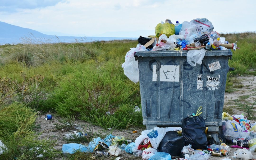 Poland races to tidy up its waste disposal
