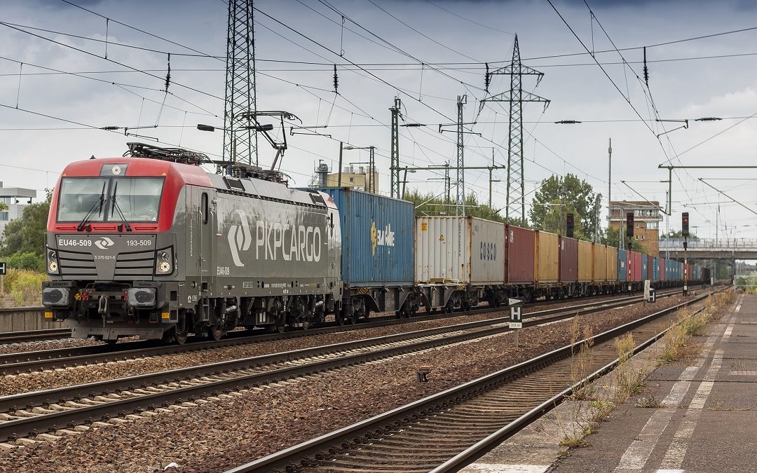 Poland to begin food exports to China by train as Russia agrees to embargo exception