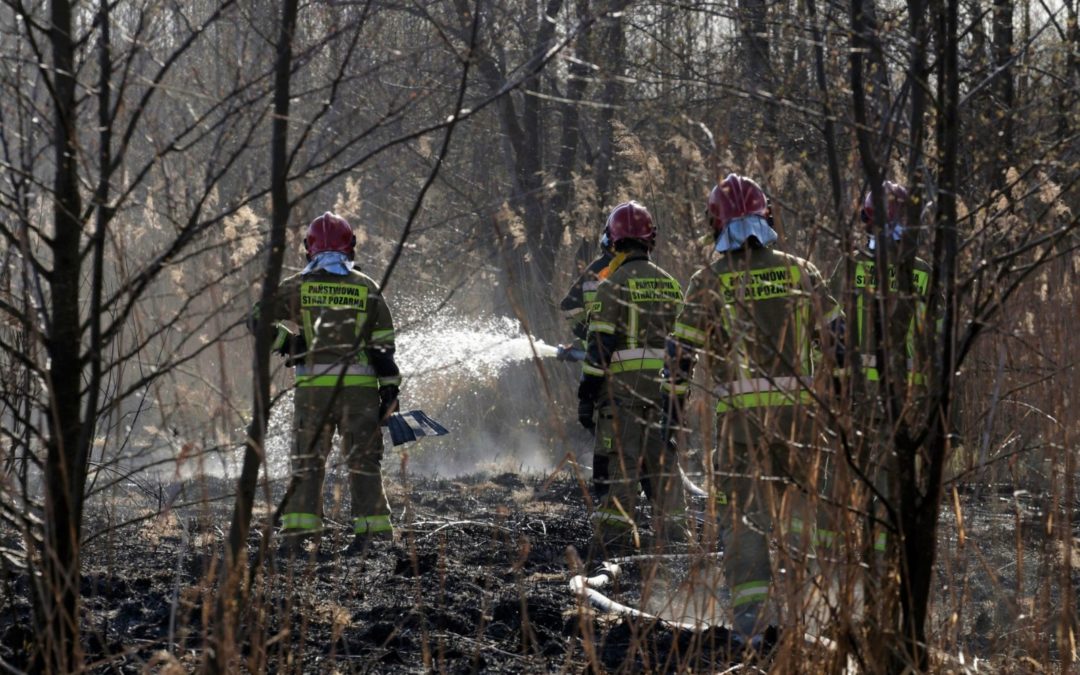 Reward offered to find arsonists who caused week-long fire at Poland’s largest national park