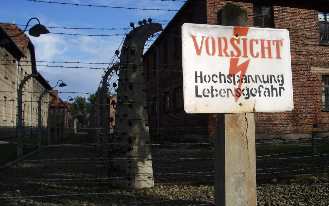 Germany donates €60 million for Auschwitz preservation but rejects Polish war reparation demands