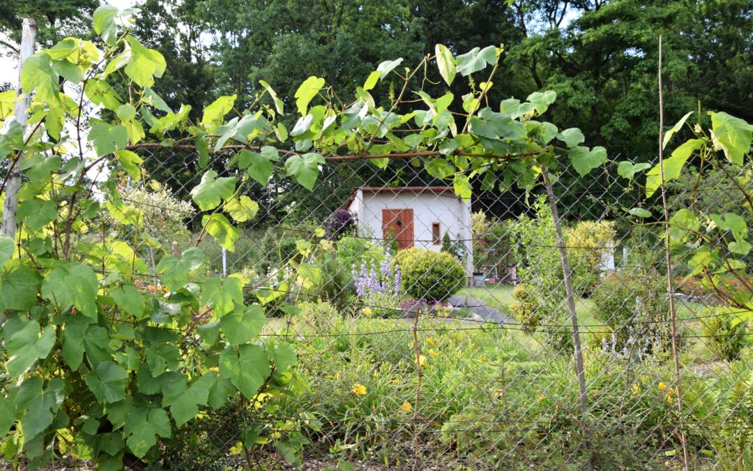 Poles flock to allotments during pandemic, sending prices rocketing