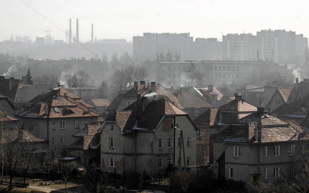 Dangerous levels of air pollution in Polish children’s bodies, finds study