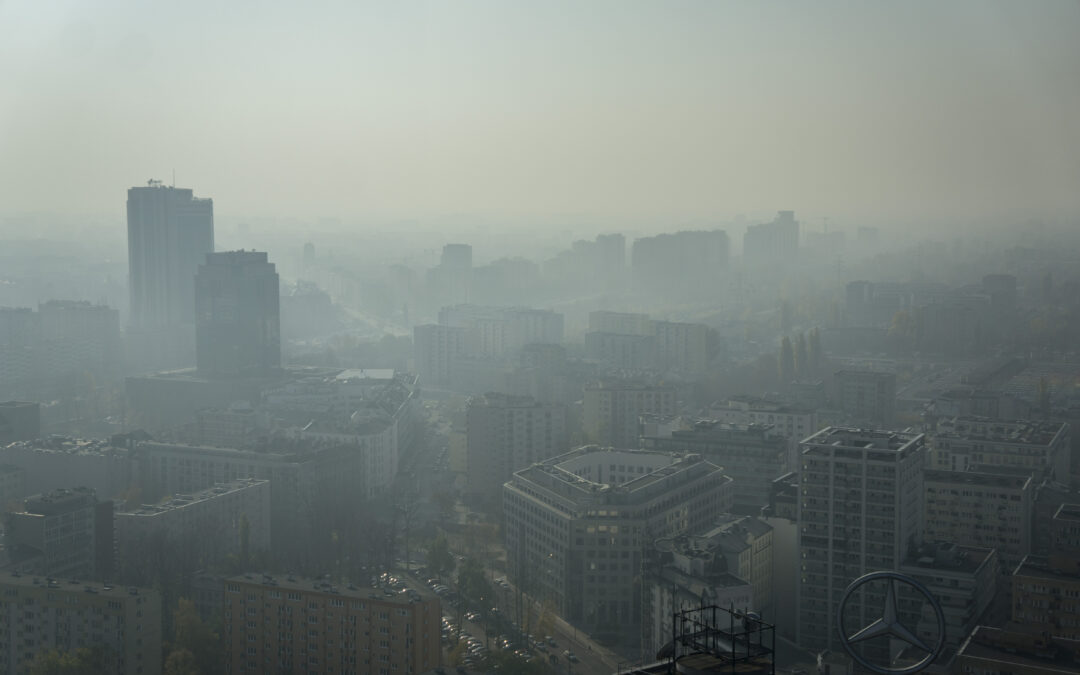 Poland has EU’s worst air pollution, shows new report