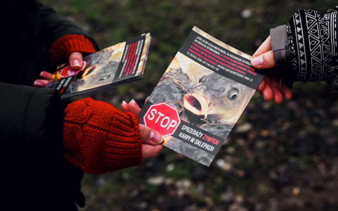 Christmas comes early for carp in Poland after “historic” animal cruelty ruling