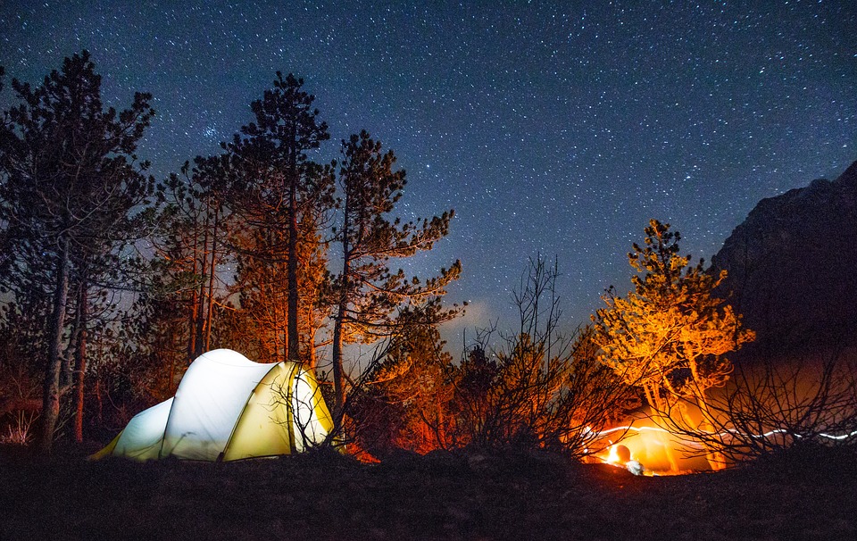 Poland creates areas in all state forests for wilderness camping