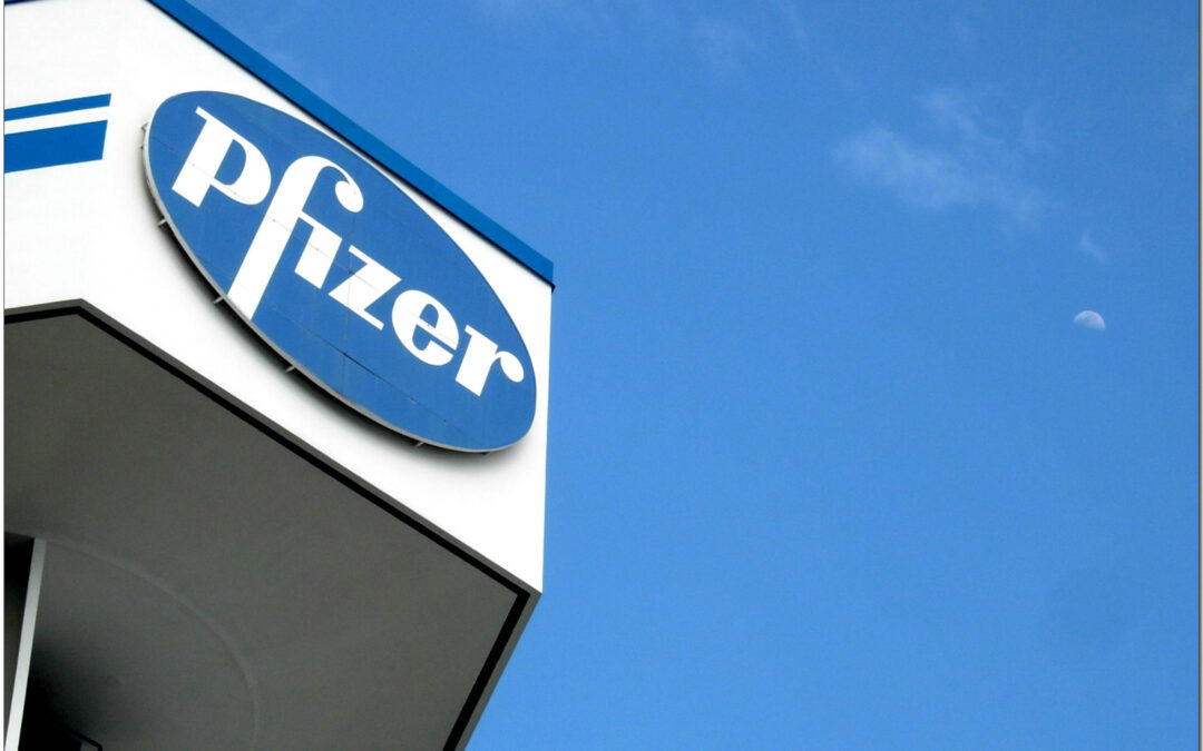 “Practically no risk” fake Pfizer vaccines entered official circulation, says Polish government
