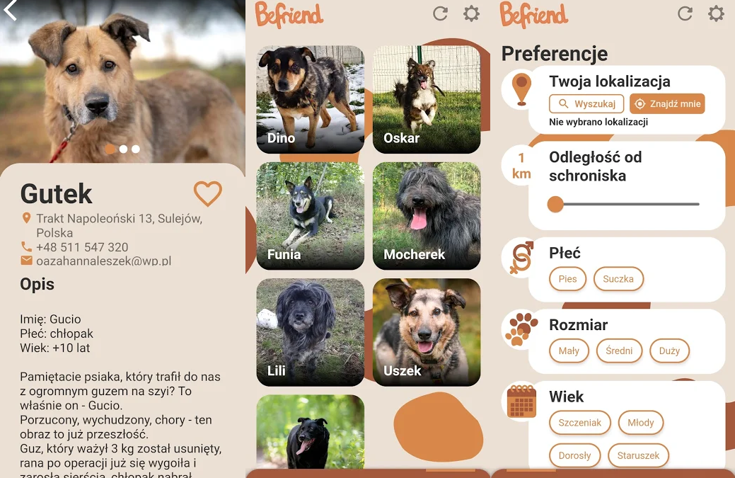 First dog adoption app in Poland launched by high school students