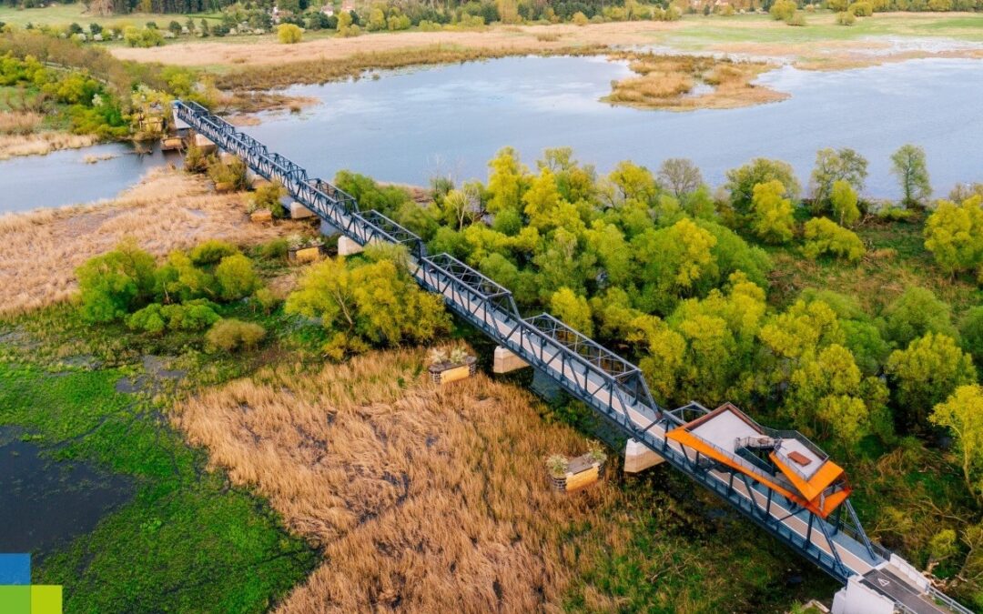 Historic bridge on Polish-German border reopens as bike and foot path