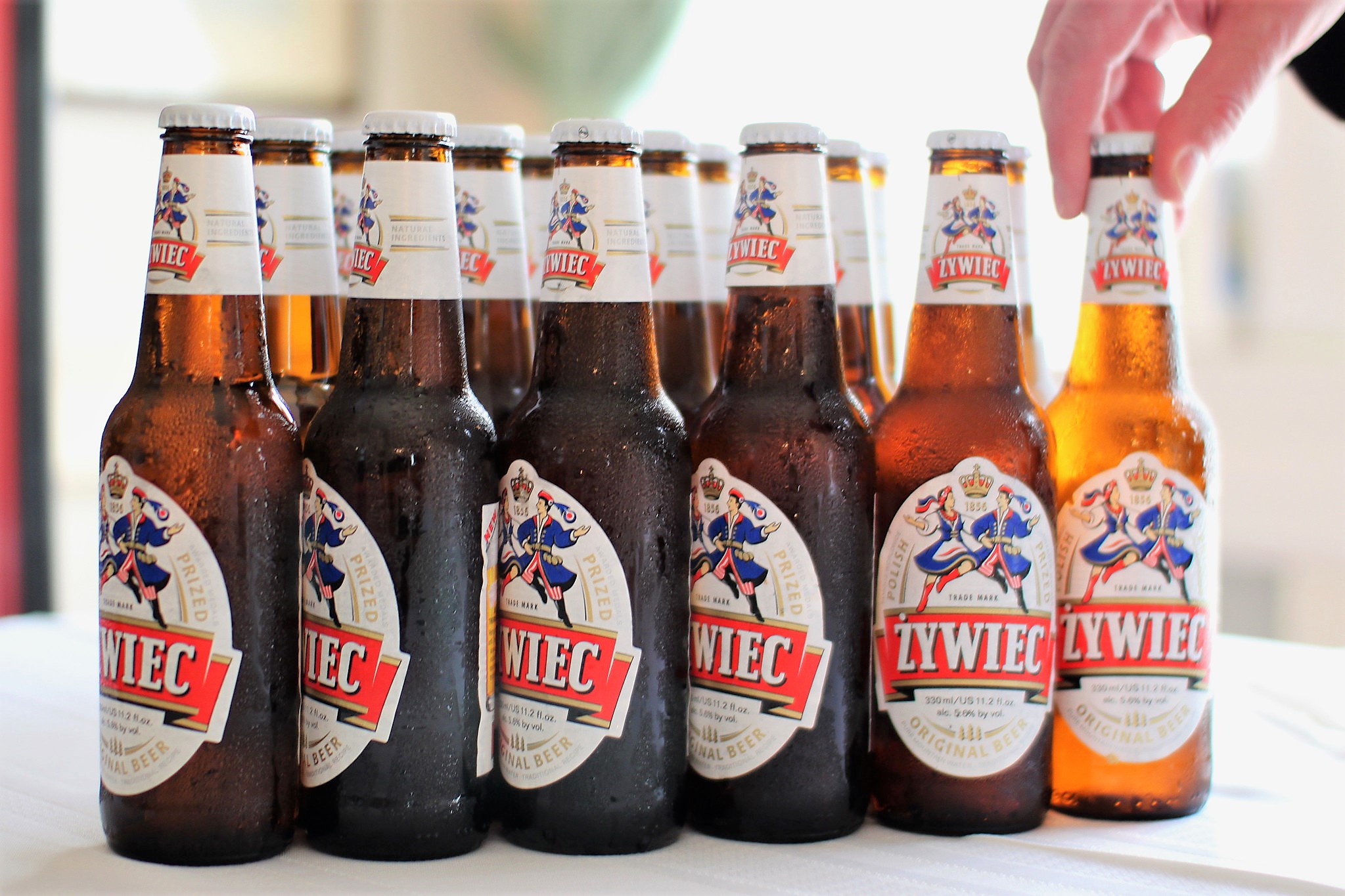 Many beer. Zywiec. Polish Beer. Пиво лефт. Напитки Польша традиционные Старка.