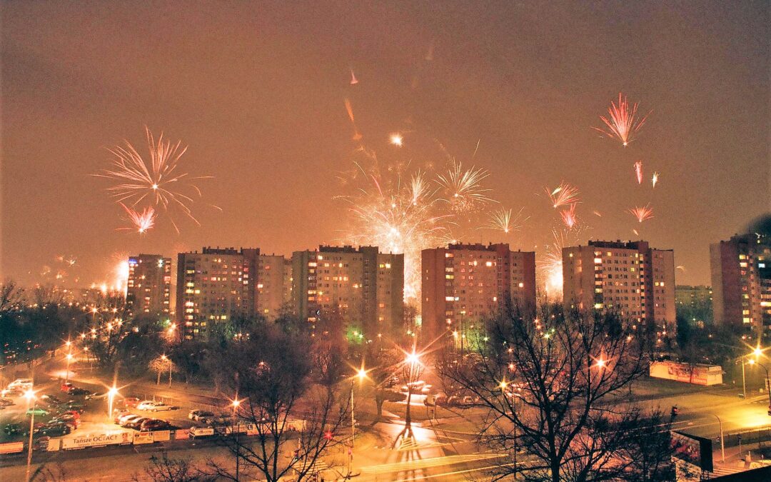 Polish opposition seeks ban on fireworks to protect animals
