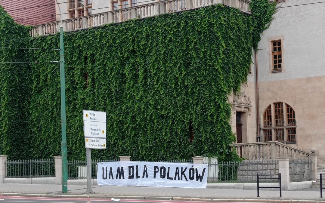 “University for Poles”: nationalists protest growing foreign student numbers