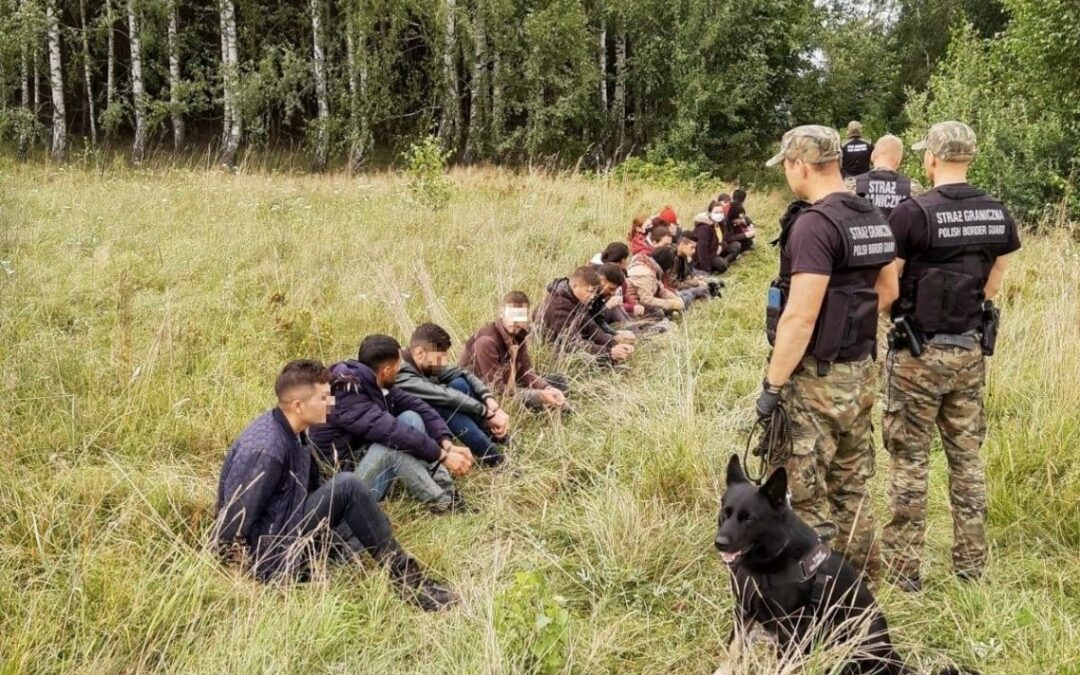 Poland detains three times more migrants illegally crossing Belarus border  at weekend than in 2020