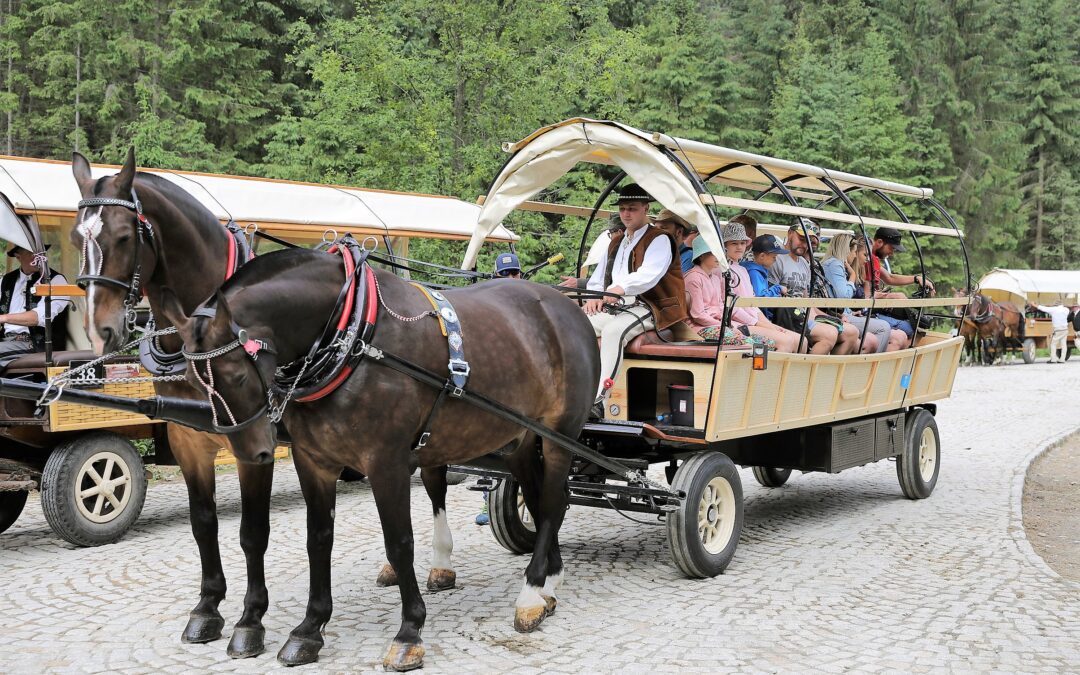 Polish mountain park introduces hybrid horse carts to improve animal welfare