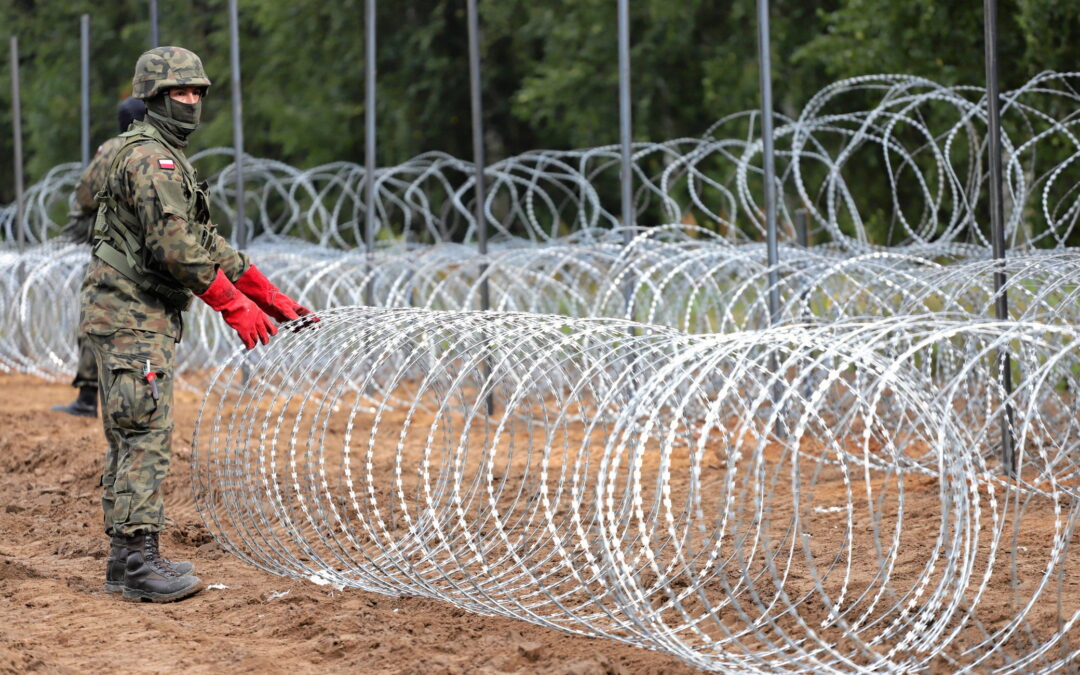 Poland puts up net to protect animals from new razor-wire border fence