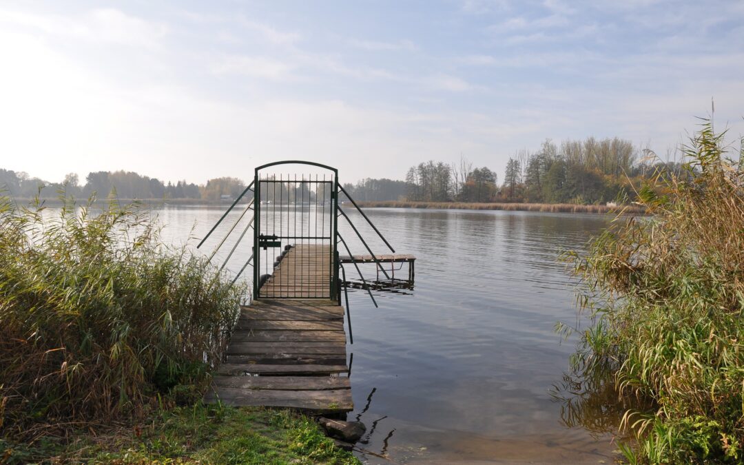 Drowned Syrian discovered in Polish river after allegedly being pushed in by Belarusian guards