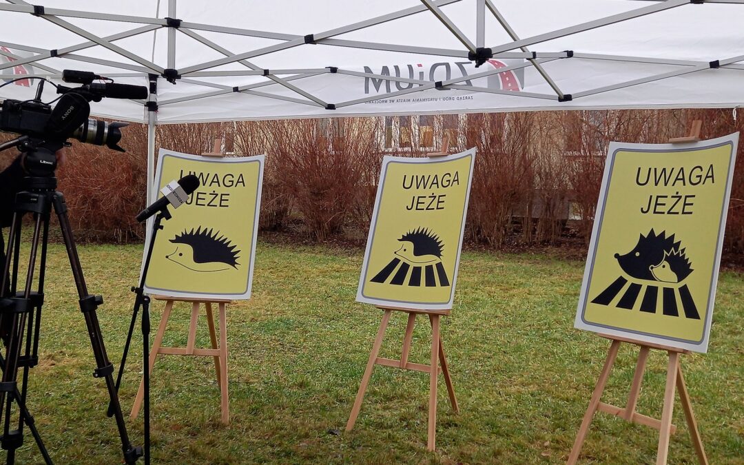 Polish city invites residents to vote on hedgehog road safety signs