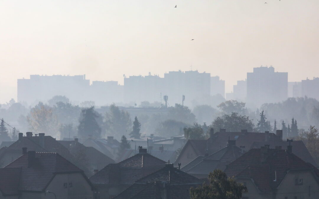 Poland ordered to pay compensation for air pollution violating resident’s rights
