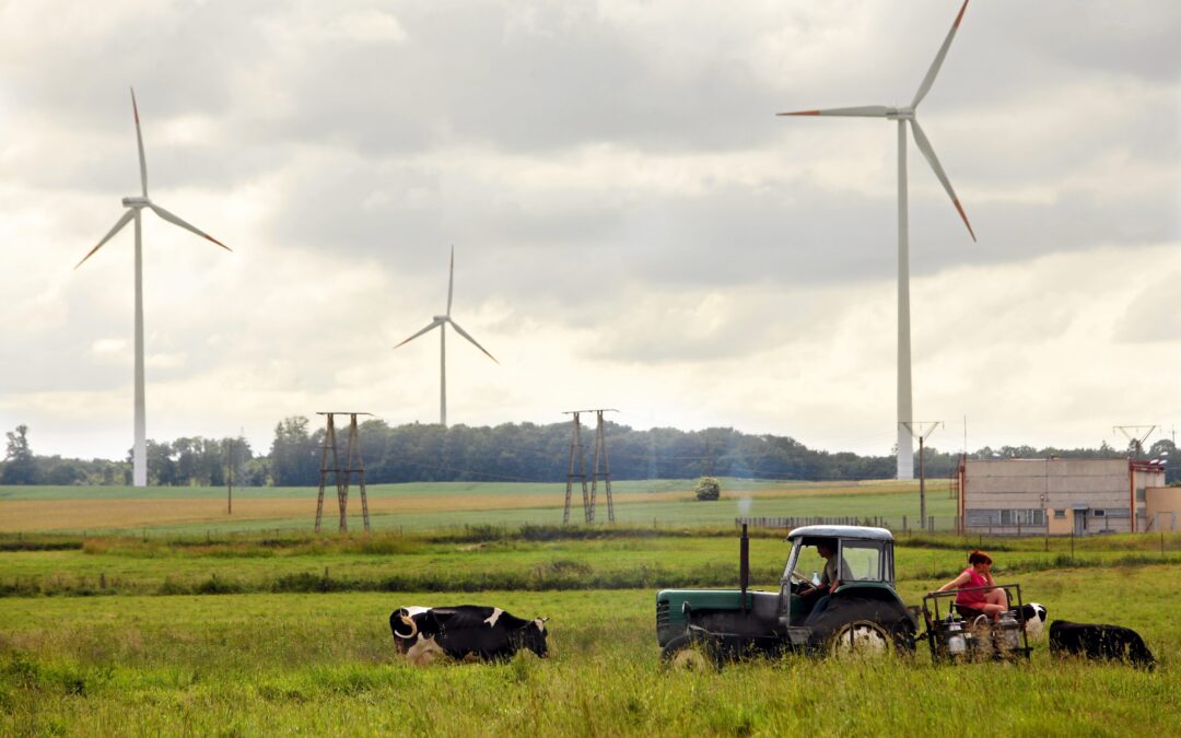 Poland generated record amount of electricity from wind in January