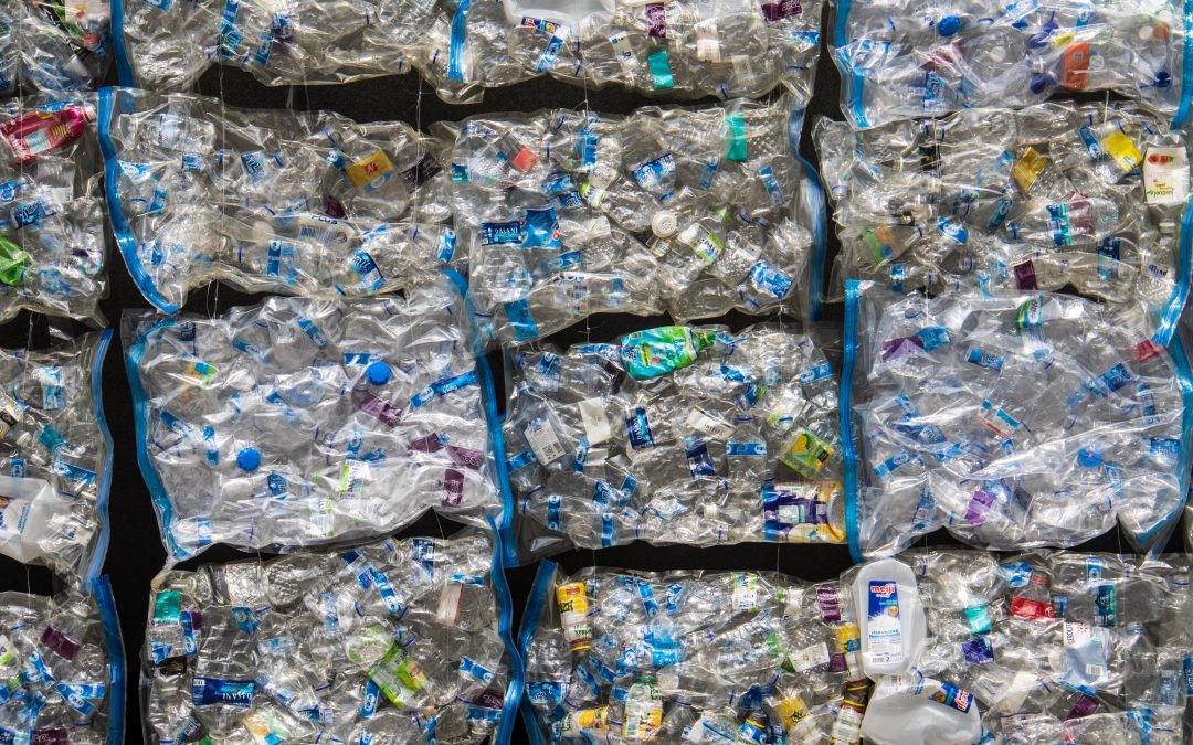 Poland to introduce deposit system for recycling bottles and cans next year