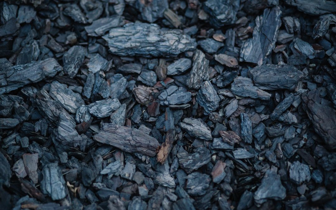 Polish government pledges to guarantee coal prices for home heating