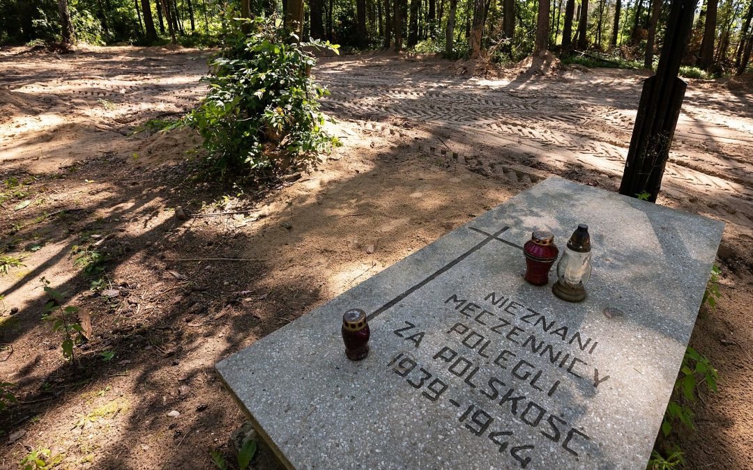 Ashes of 8,000 victims found near former Nazi-German camp in Poland