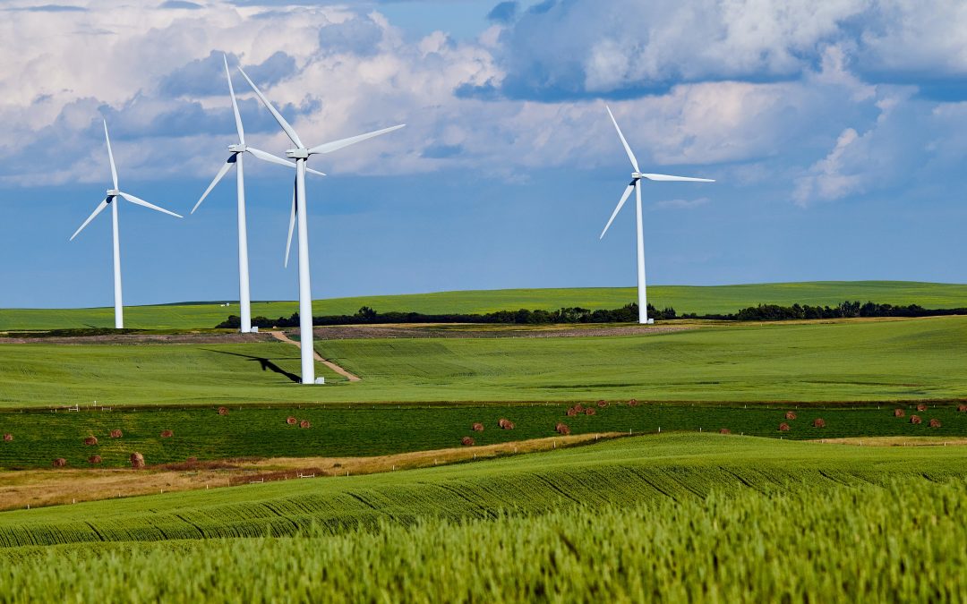 Polish government moves to undo its own rules blocking onshore wind farms
