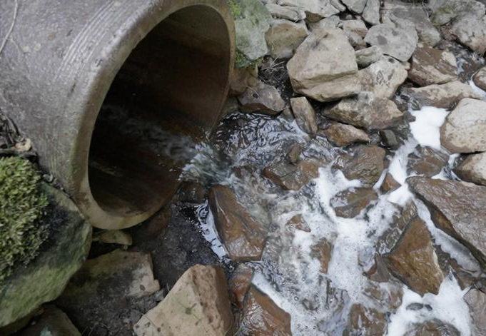 Prosecutors to re-examine industrial sewage pouring into Polish river after TV report