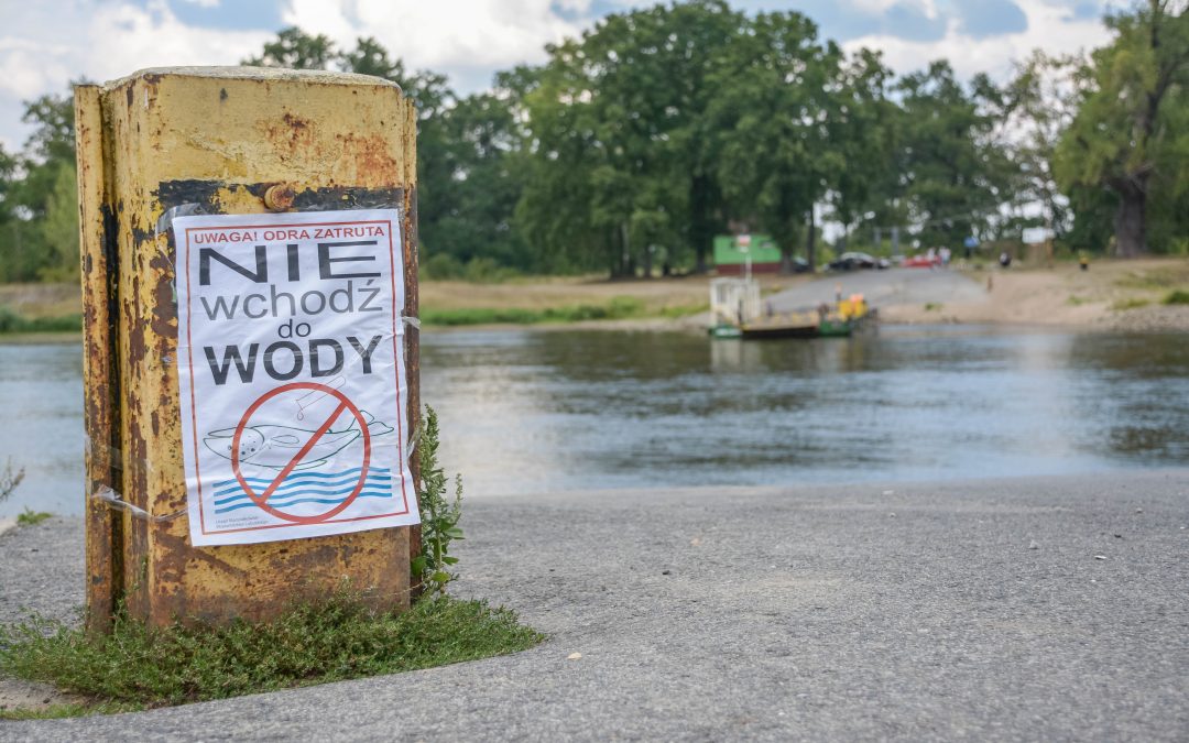 After thousands of dead fish found in Polish river, environmental agency notifies prosecutors