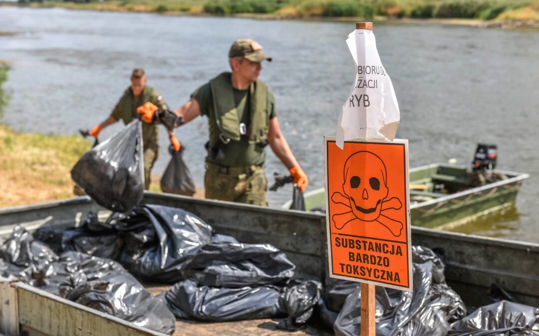 Various “overlapping factors” caused Odra river poisoning, finds Polish report