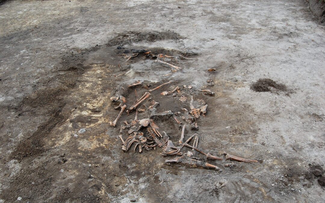 Ukraine agrees to exhumation of Polish victims of WW2 massacre