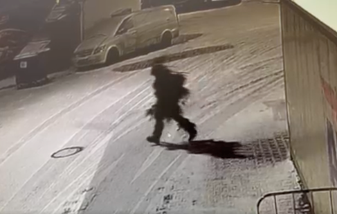 Police in Poland seek man dressed like Christmas tree who slashed tires at meat warehouse