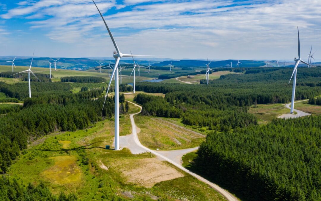 Poland’s second largest wind farm launched by firm belonging to country’s richest woman