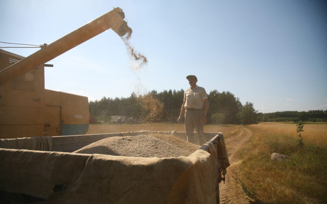 Poland lifts ban on transit of Ukrainian grain