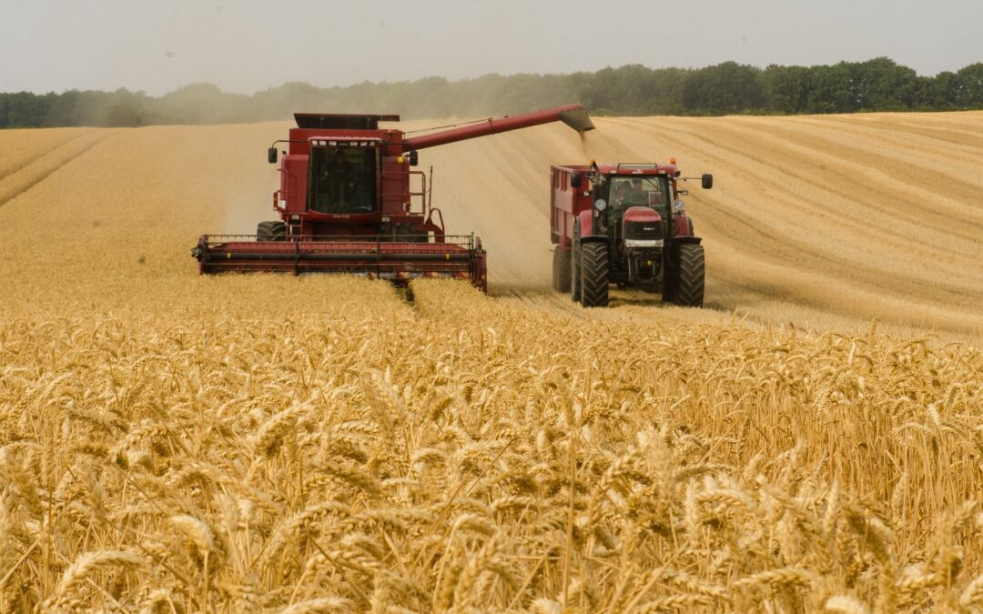 Poland introduces immediate ban on Ukrainian agricultural imports