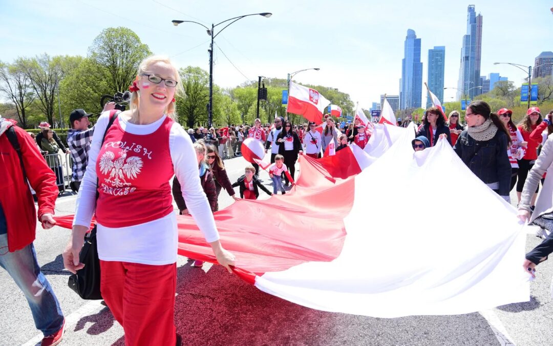 Polish opposition want to appoint official representing Polish diaspora