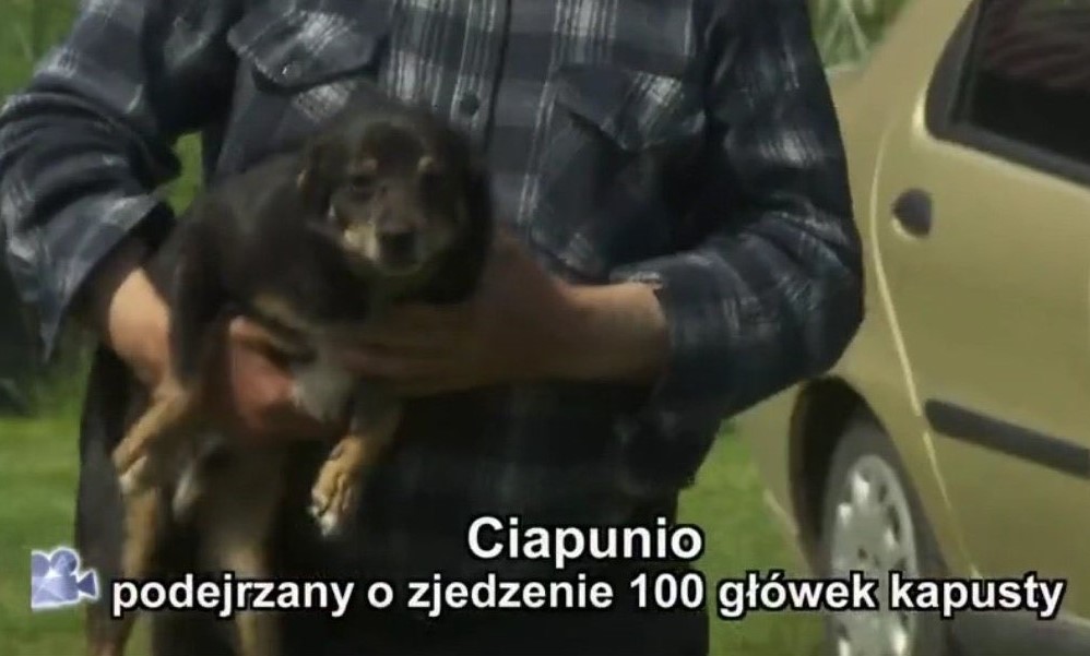 Poles rally to support dog accused of eating 100 cabbages in neighbouring farm