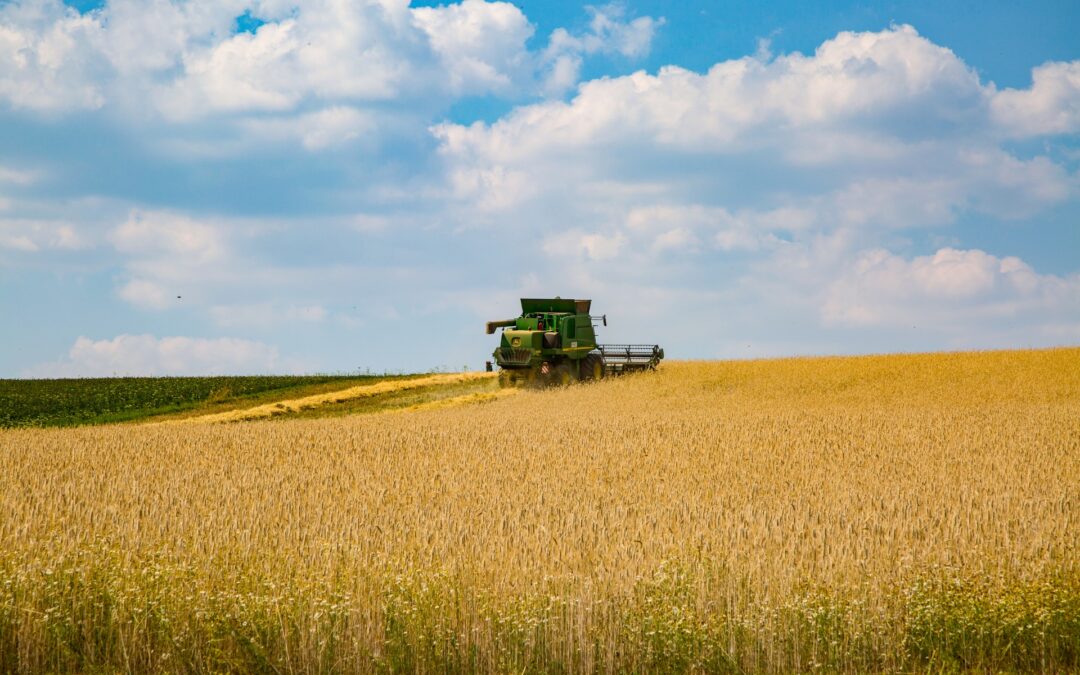 Ukraine suspending WTO grain complaint is “good step but not enough”, says Poland