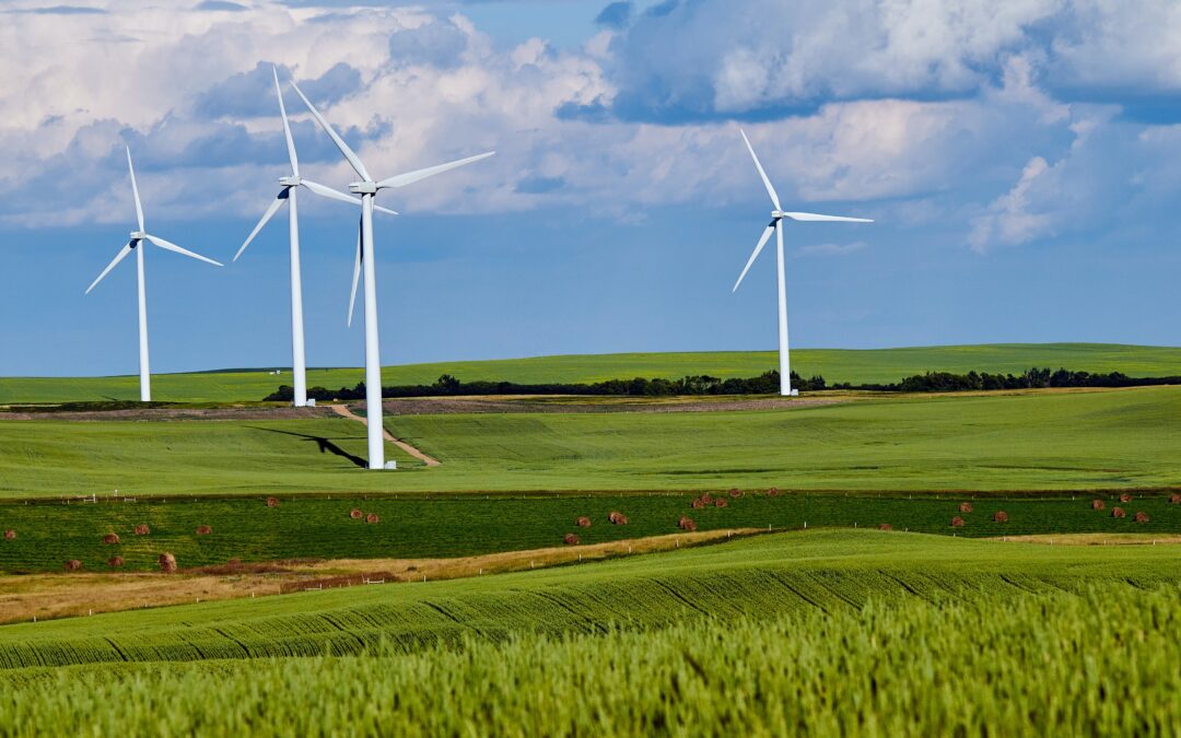 Controversy in Poland over incoming coalition’s plans to loosen rules on building wind turbines