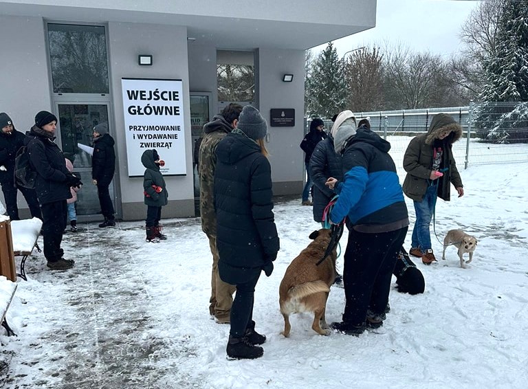 Residents of Polish city provide homes for all of shelter’s outdoor dogs ahead of winter freeze