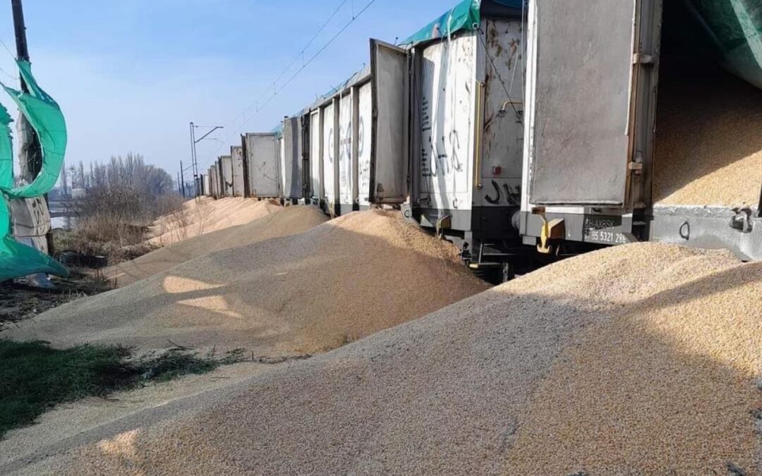Ukraine condemns dumping of grain transiting through Poland