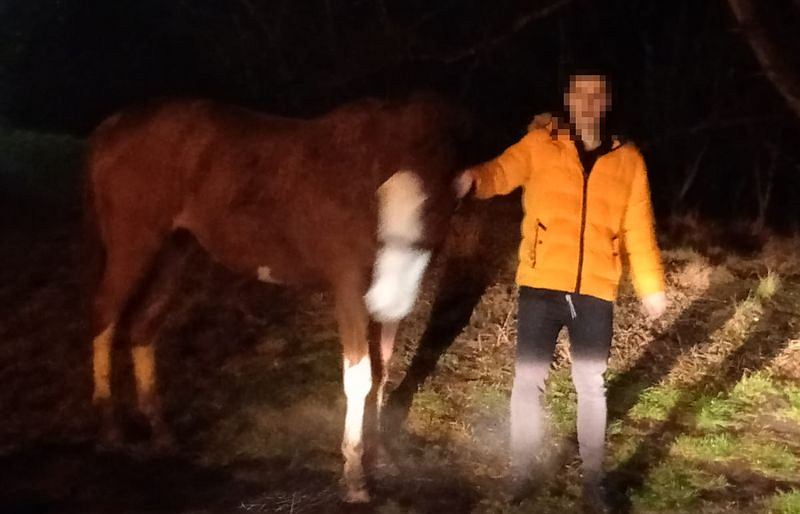 Przyłapano mężczyznę prowadzącego skradzionego konia po schodach mieszkania w Polsce