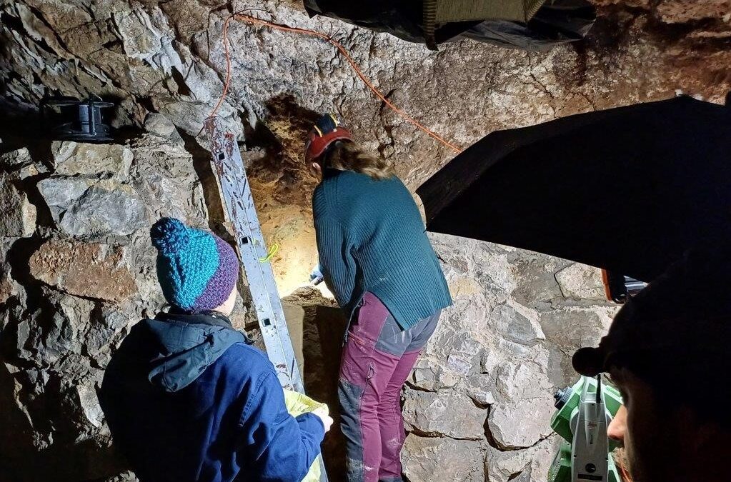 Bones of cave lion and mammoth unearthed in Polish cave