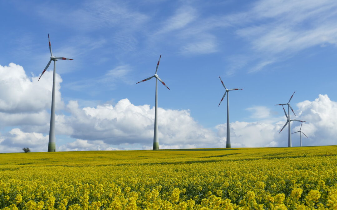 Polish wind farms break three output records in one day