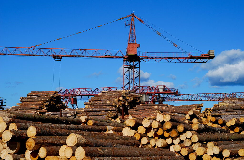 Belarus evading EU sanctions by importing timber to Poland with false documents, finds investigation