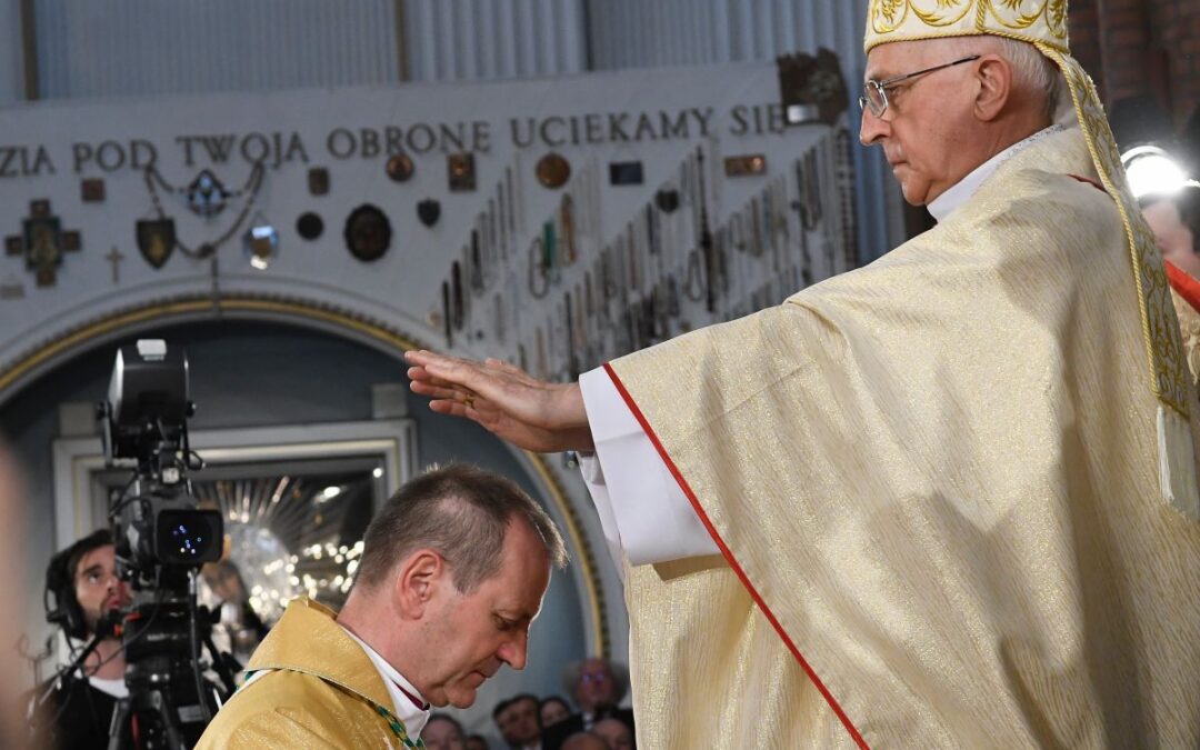 Polish bishops choose new leader amid crisis for Catholic church in Poland