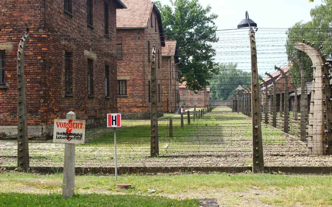 Facebook apologises for flagging Auschwitz Museum’s posts as violating community standards